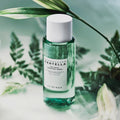 SKIN1004 - Tea-Trica Purifying Toner 210ml